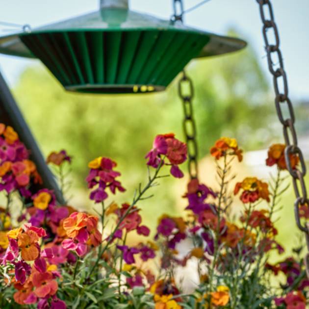 Boulevard-haven_05_630x410